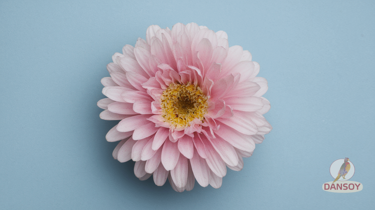 Дієтичні соуси з йогурту