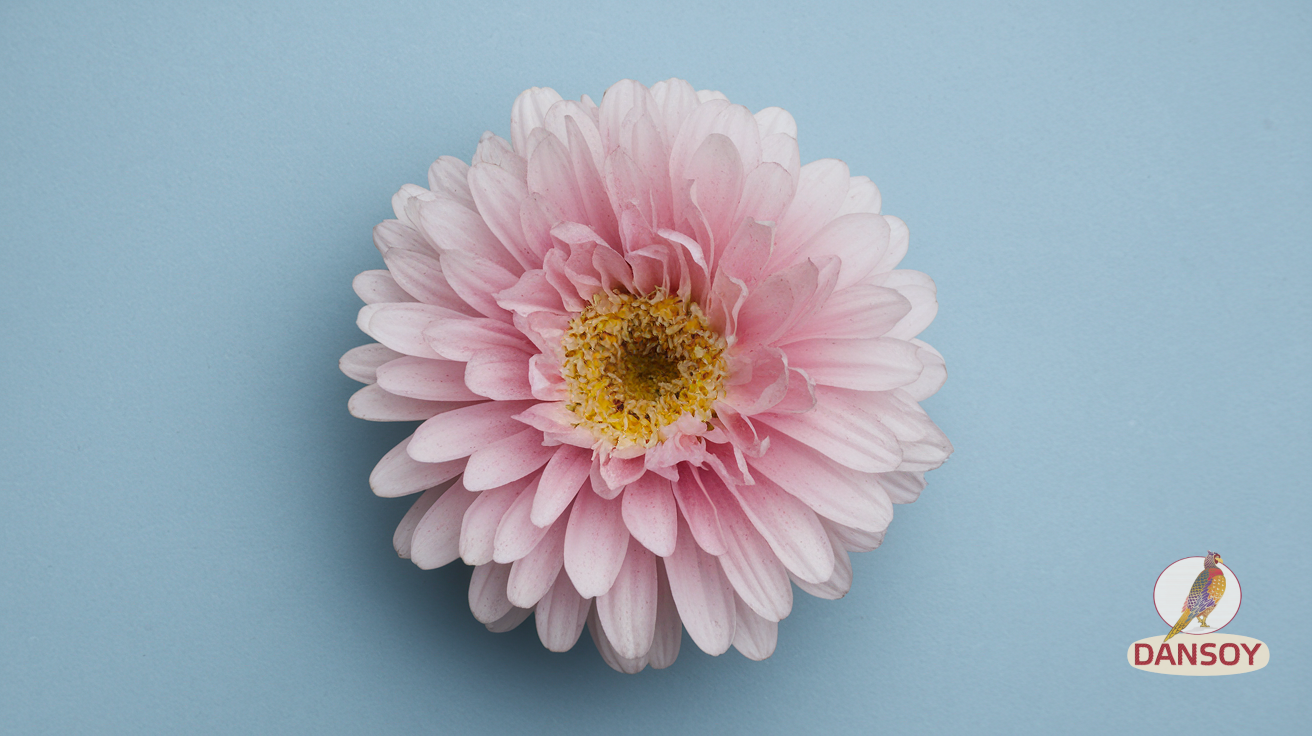 Дієтичні соуси з йогурту