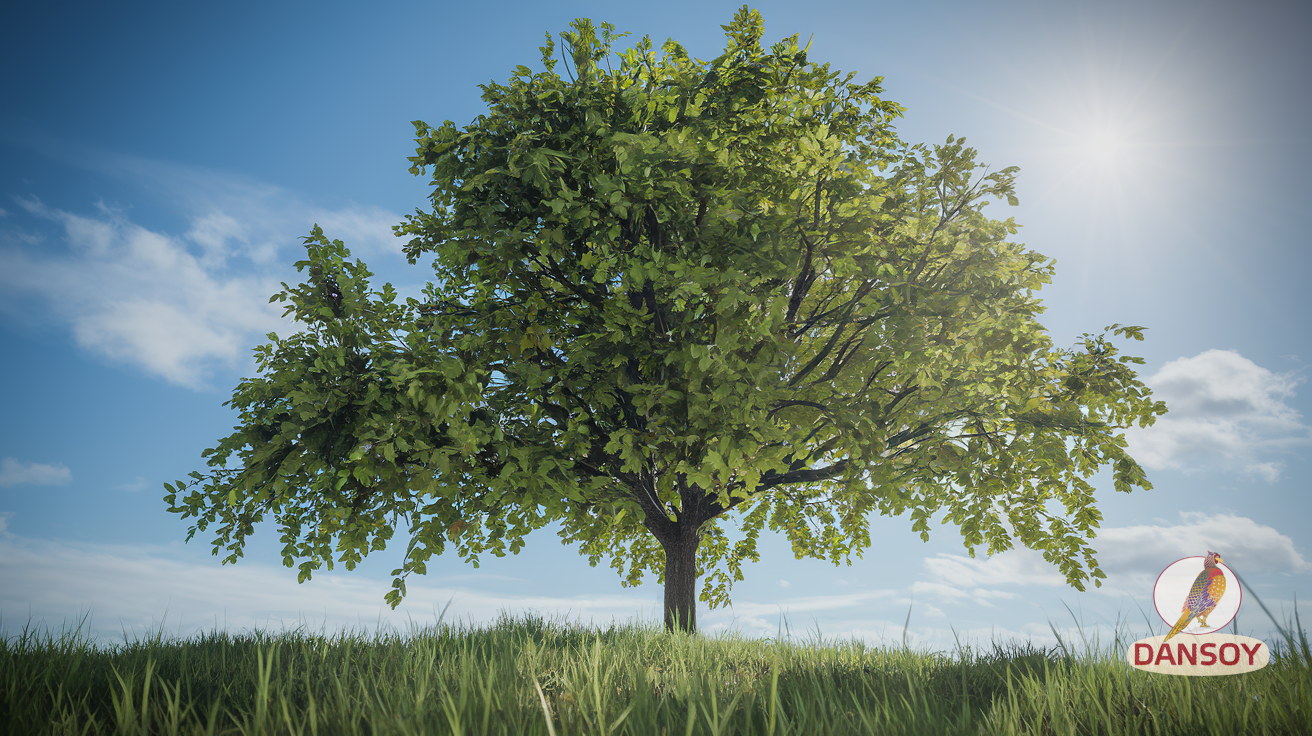 концентрат соєвого соусу у пляшці