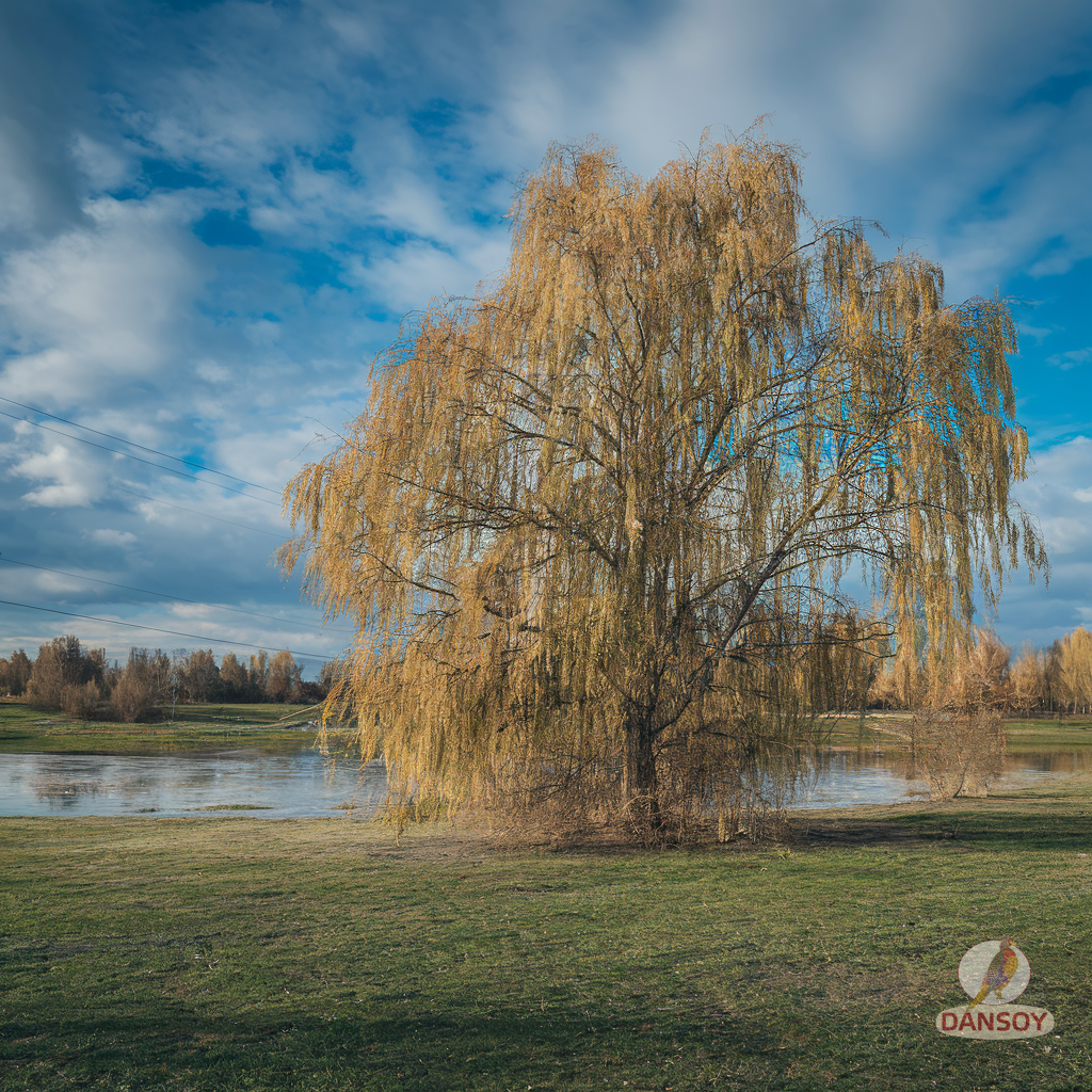 Illustration for section: Ключ до ідеальних крилець — правильний баланс внутріш - курячі крильця чилі