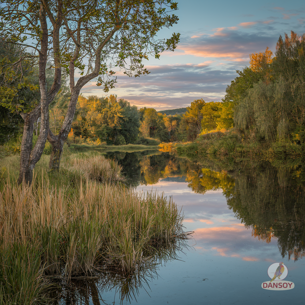 Illustration for section: Калібрування pH-метра перед вимірюванням — обов’язков - солодкий чилі