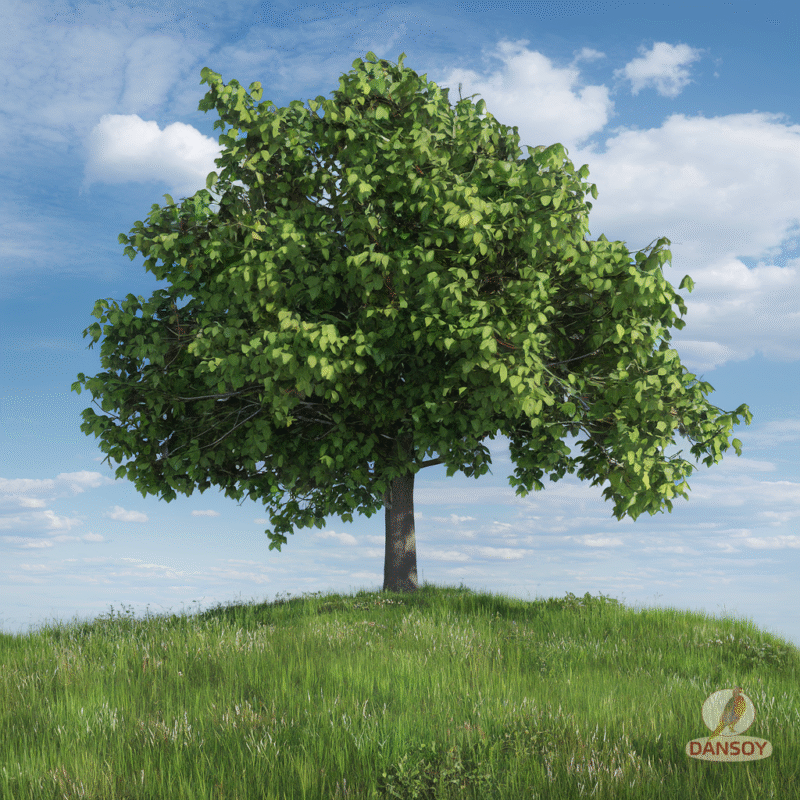 Соуси без глютену перевірка складу