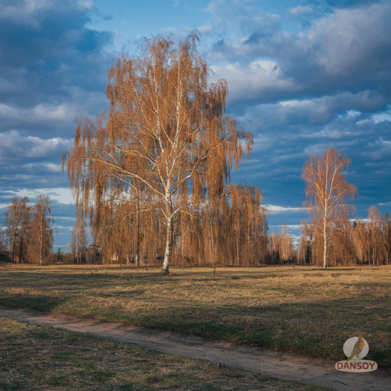 вітамінні грузинські соуси на тарілці