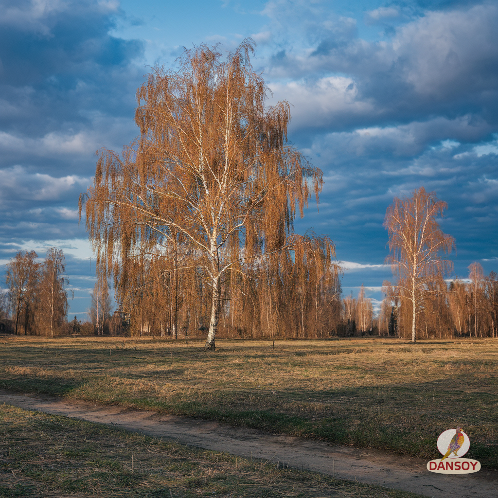 вітамінні грузинські соуси на тарілці