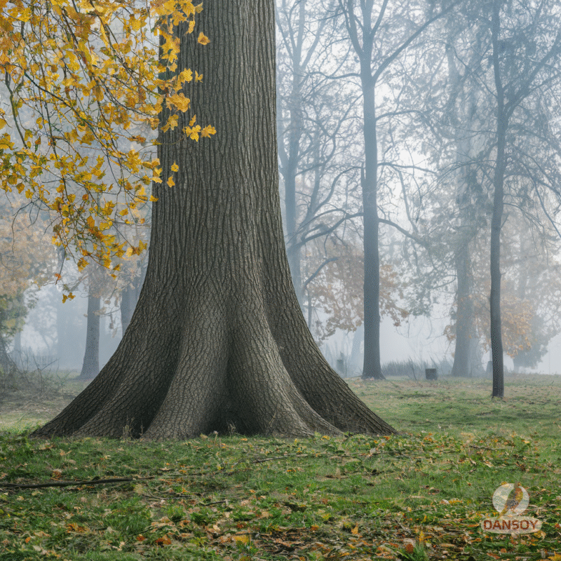 вітаміни ткемалі грузинський соус