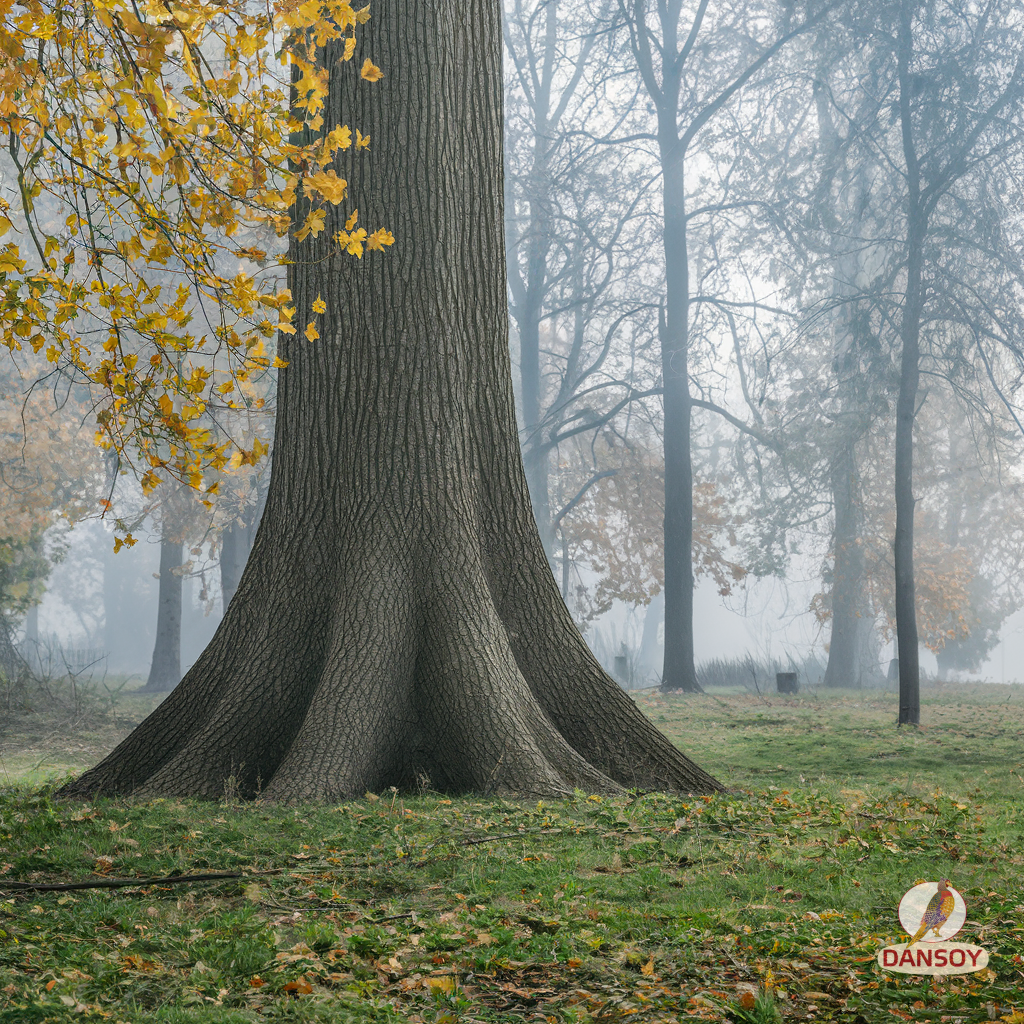 вітаміни ткемалі грузинський соус